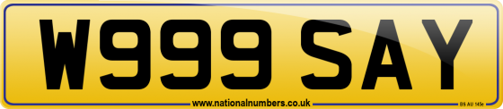 W999 SAY