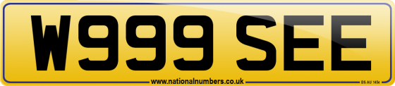 W999 SEE