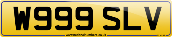 W999 SLV