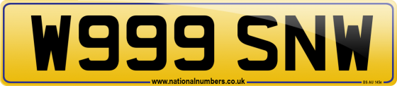 W999 SNW