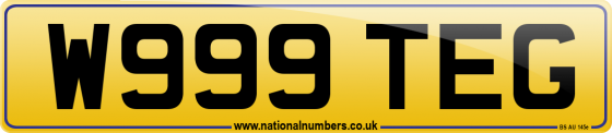 W999 TEG