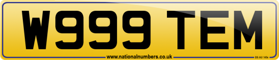 W999 TEM