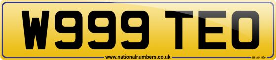 W999 TEO