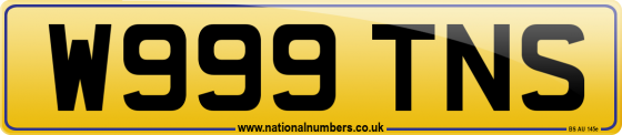 W999 TNS