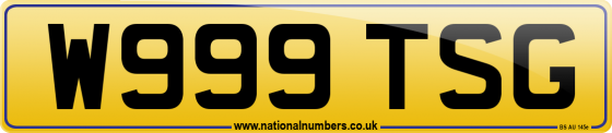 W999 TSG