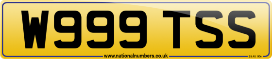 W999 TSS