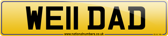 WE11 DAD