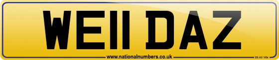 WE11 DAZ
