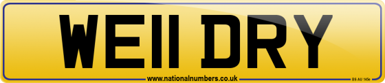 WE11 DRY