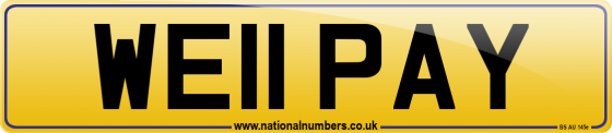 WE11 PAY