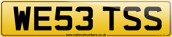 WE53 TSS