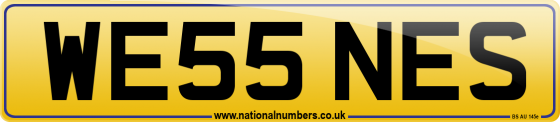 WE55 NES
