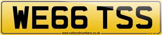 WE66 TSS