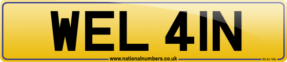 WEL 41N