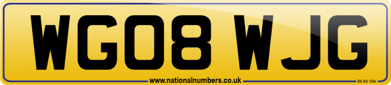 WG08 WJG