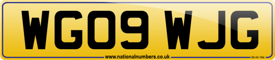 WG09 WJG