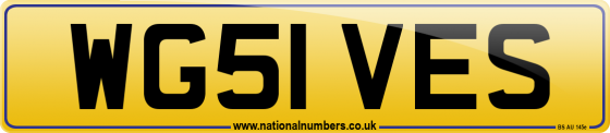 WG51 VES