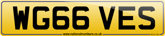 WG66 VES