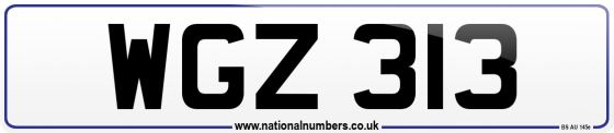 WGZ 313