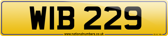 WIB 229