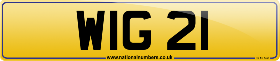 WIG 21