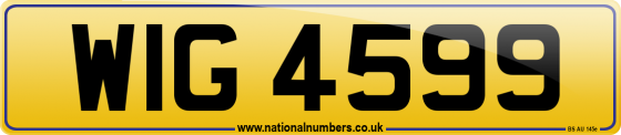 WIG 4599