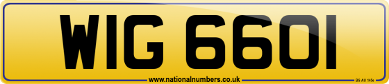 WIG 6601