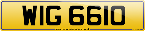 WIG 6610