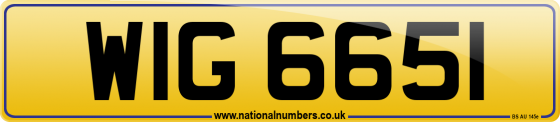 WIG 6651