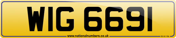 WIG 6691
