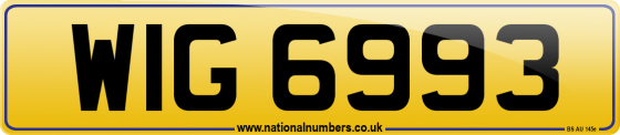 WIG 6993