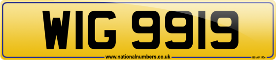 WIG 9919