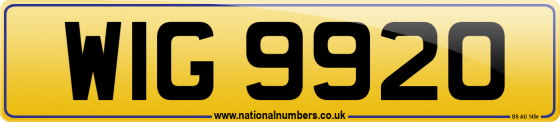 WIG 9920