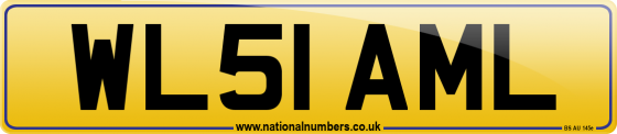 WL51 AML