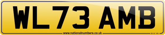 WL73 AMB