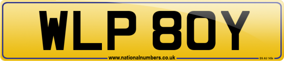 WLP 80Y