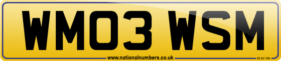 WM03 WSM