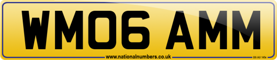 WM06 AMM