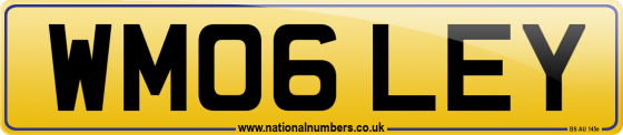 WM06 LEY