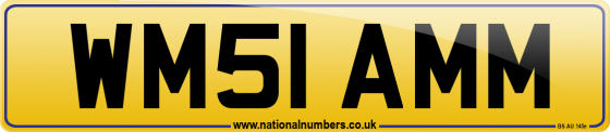 WM51 AMM