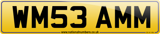 WM53 AMM
