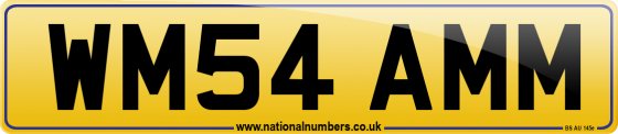 WM54 AMM
