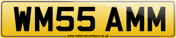 WM55 AMM