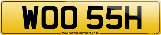 WOO 55H