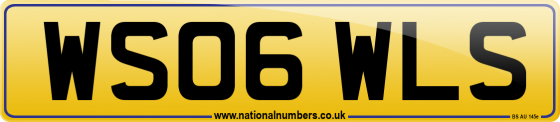 WS06 WLS