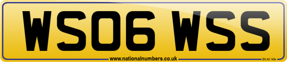 WS06 WSS