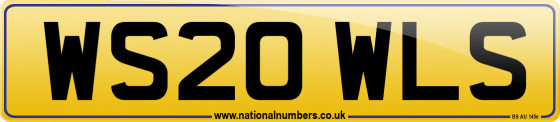 WS20 WLS