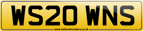 WS20 WNS