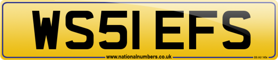 WS51 EFS