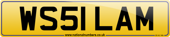 WS51 LAM